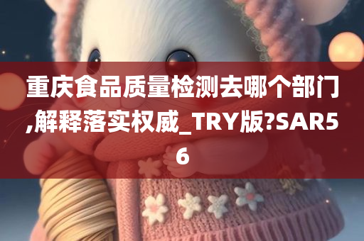 重庆食品质量检测去哪个部门,解释落实权威_TRY版?SAR56