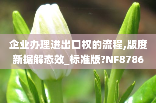 企业办理进出口权的流程,版度新据解态效_标准版?NF8786