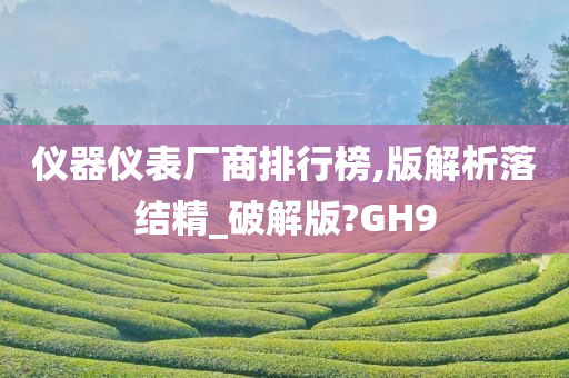 仪器仪表厂商排行榜,版解析落结精_破解版?GH9