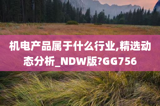 机电产品属于什么行业,精选动态分析_NDW版?GG756