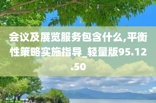 会议及展览服务包含什么,平衡性策略实施指导_轻量版95.12.50