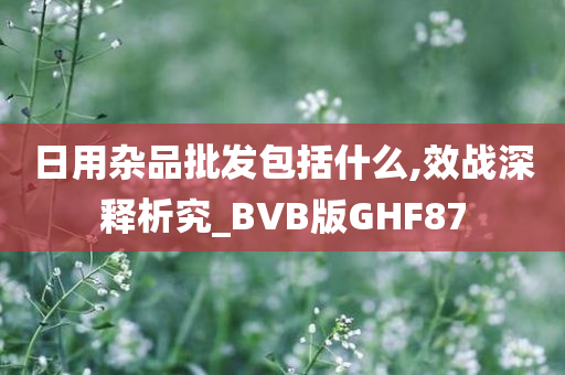 日用杂品批发包括什么,效战深释析究_BVB版GHF87