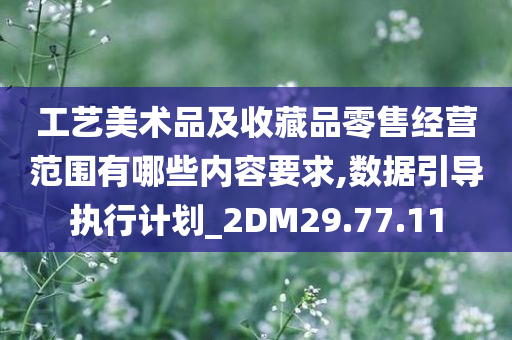 工艺美术品及收藏品零售经营范围有哪些内容要求,数据引导执行计划_2DM29.77.11