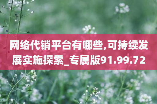 网络代销平台有哪些,可持续发展实施探索_专属版91.99.72