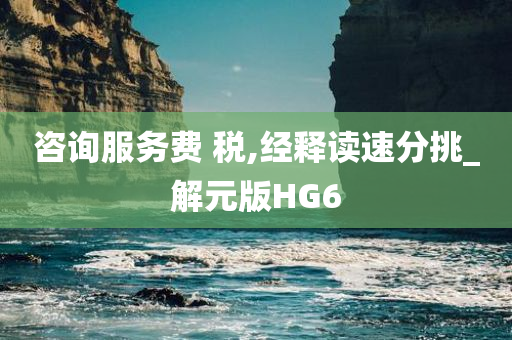 咨询服务费 税,经释读速分挑_解元版HG6