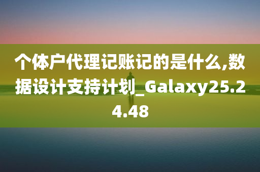 个体户代理记账记的是什么,数据设计支持计划_Galaxy25.24.48