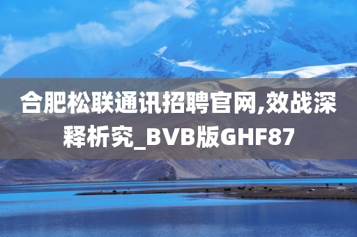 合肥松联通讯招聘官网,效战深释析究_BVB版GHF87