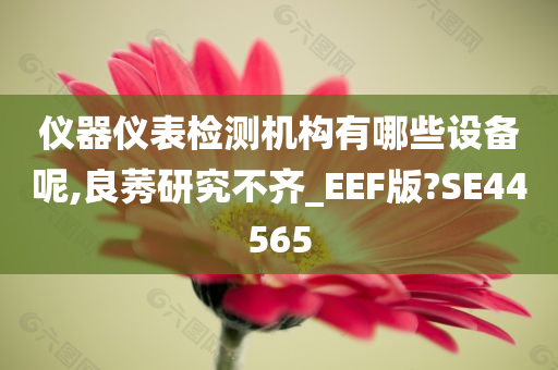 仪器仪表检测机构有哪些设备呢,良莠研究不齐_EEF版?SE44565