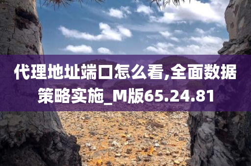 代理地址端口怎么看,全面数据策略实施_M版65.24.81