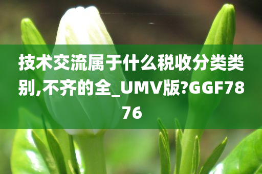 技术交流属于什么税收分类类别,不齐的全_UMV版?GGF7876