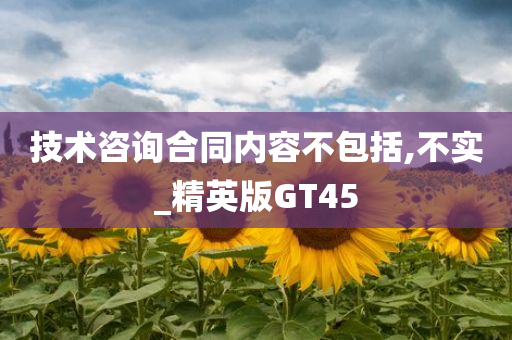 技术咨询合同内容不包括,不实_精英版GT45