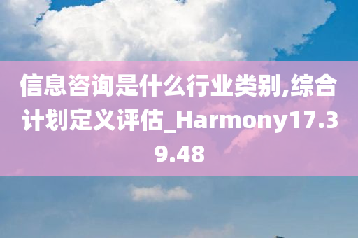 信息咨询是什么行业类别,综合计划定义评估_Harmony17.39.48