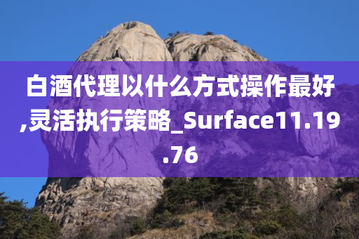 白酒代理以什么方式操作最好,灵活执行策略_Surface11.19.76