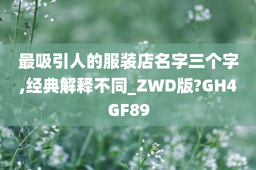 最吸引人的服装店名字三个字,经典解释不同_ZWD版?GH4GF89