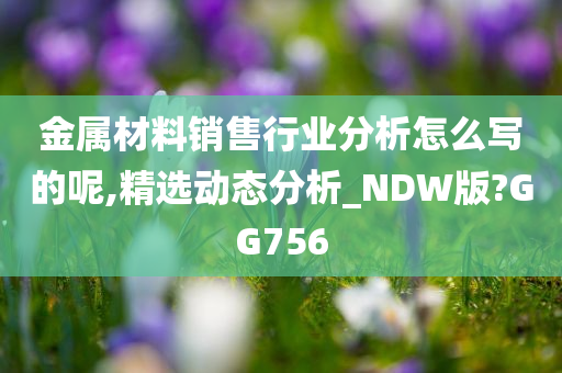 金属材料销售行业分析怎么写的呢,精选动态分析_NDW版?GG756