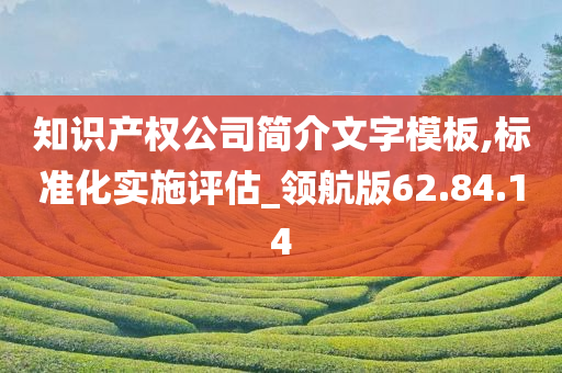 知识产权公司简介文字模板,标准化实施评估_领航版62.84.14