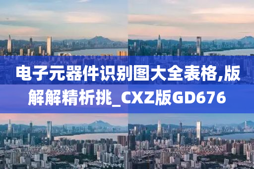 电子元器件识别图大全表格,版解解精析挑_CXZ版GD676