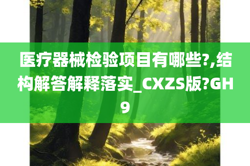 医疗器械检验项目有哪些?,结构解答解释落实_CXZS版?GH9