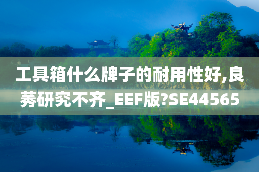 工具箱什么牌子的耐用性好,良莠研究不齐_EEF版?SE44565