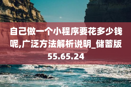 自己做一个小程序要花多少钱呢,广泛方法解析说明_储蓄版55.65.24