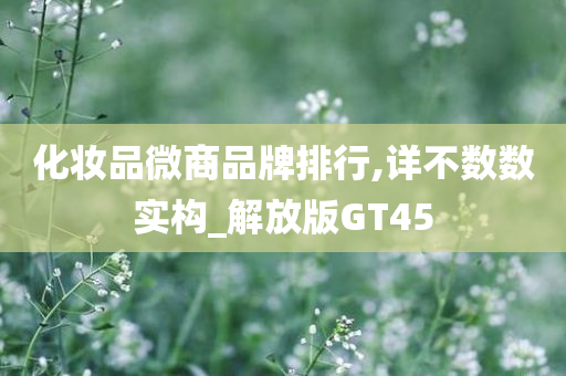 化妆品微商品牌排行,详不数数实构_解放版GT45