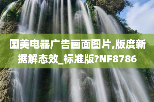 国美电器广告画面图片,版度新据解态效_标准版?NF8786