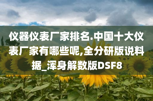 仪器仪表厂家排名.中国十大仪表厂家有哪些呢,全分研版说料据_浑身解数版DSF8