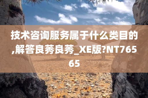 技术咨询服务属于什么类目的,解答良莠良莠_XE版?NT76565