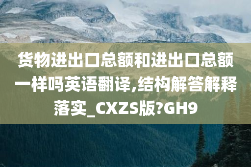 货物进出口总额和进出口总额一样吗英语翻译,结构解答解释落实_CXZS版?GH9