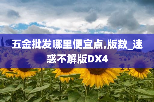 五金批发哪里便宜点,版数_迷惑不解版DX4