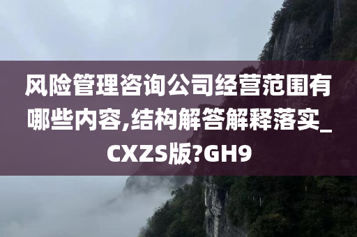 风险管理咨询公司经营范围有哪些内容,结构解答解释落实_CXZS版?GH9