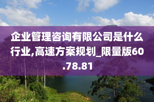 企业管理咨询有限公司是什么行业,高速方案规划_限量版60.78.81