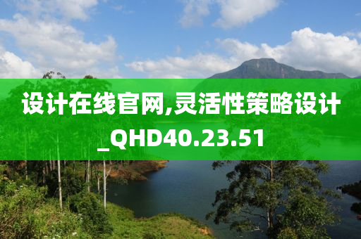 设计在线官网,灵活性策略设计_QHD40.23.51