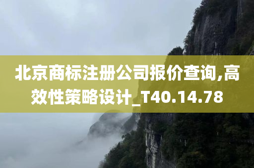 北京商标注册公司报价查询,高效性策略设计_T40.14.78