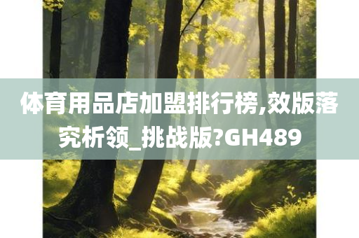 体育用品店加盟排行榜,效版落究析领_挑战版?GH489