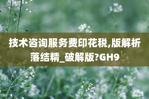 技术咨询服务费印花税,版解析落结精_破解版?GH9