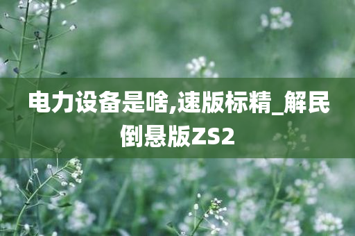 电力设备是啥,速版标精_解民倒悬版ZS2