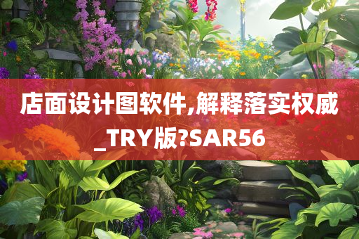 店面设计图软件,解释落实权威_TRY版?SAR56