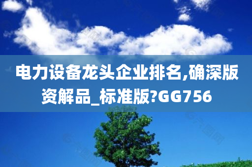 电力设备龙头企业排名,确深版资解品_标准版?GG756