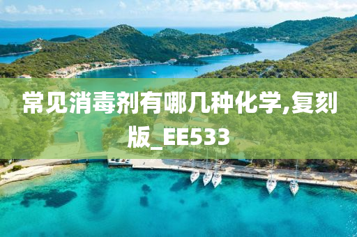 常见消毒剂有哪几种化学,复刻版_EE533