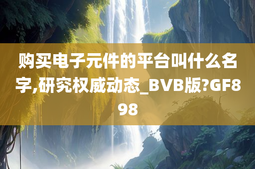 购买电子元件的平台叫什么名字,研究权威动态_BVB版?GF898