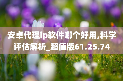 安卓代理ip软件哪个好用,科学评估解析_超值版61.25.74