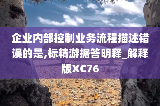 企业内部控制业务流程描述错误的是,标精游据答明释_解释版XC76