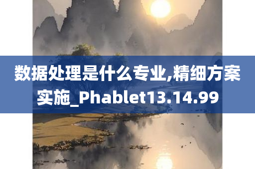 数据处理是什么专业,精细方案实施_Phablet13.14.99