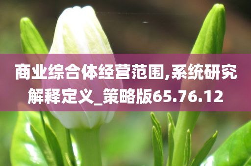 商业综合体经营范围,系统研究解释定义_策略版65.76.12