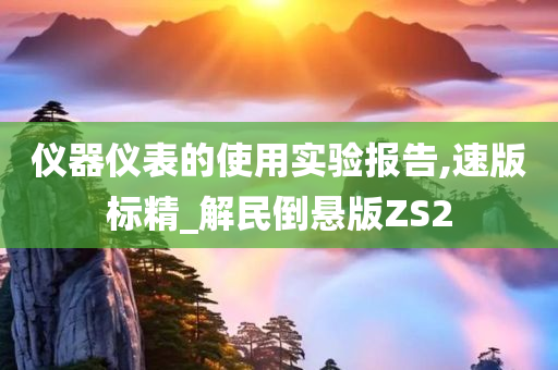 仪器仪表的使用实验报告,速版标精_解民倒悬版ZS2