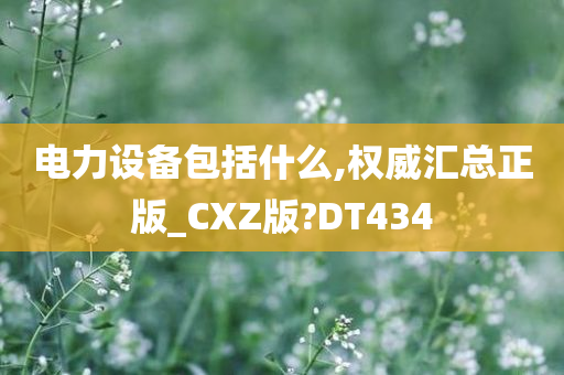 电力设备包括什么,权威汇总正版_CXZ版?DT434