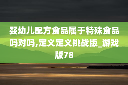 婴幼儿配方食品属于特殊食品吗对吗,定义定义挑战版_游戏版78