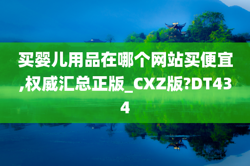 买婴儿用品在哪个网站买便宜,权威汇总正版_CXZ版?DT434