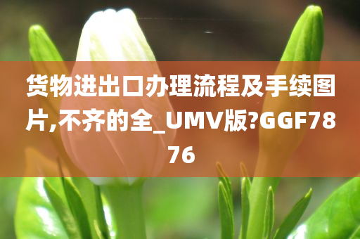 货物进出口办理流程及手续图片,不齐的全_UMV版?GGF7876